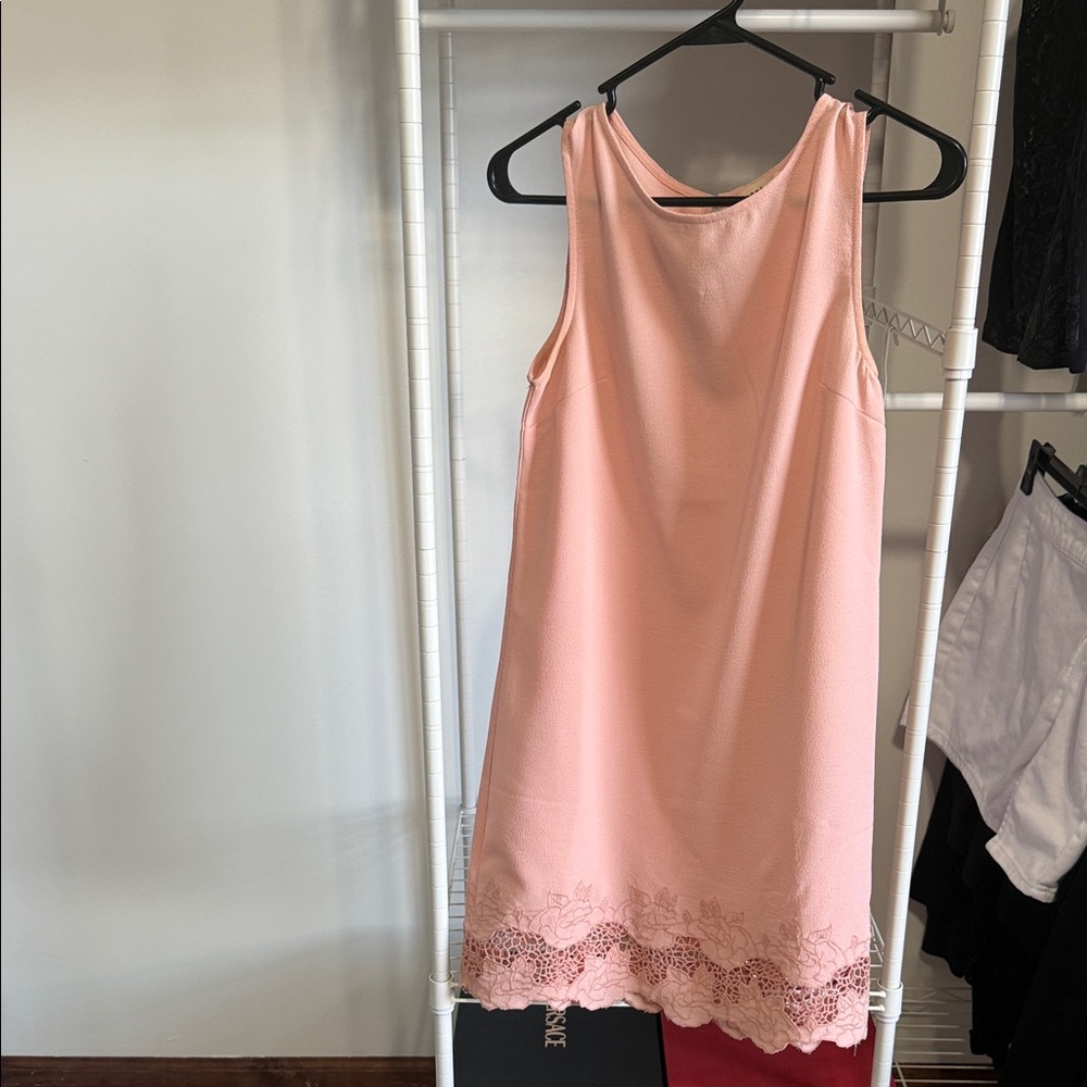 Monteau Blush Sleeveless Dress